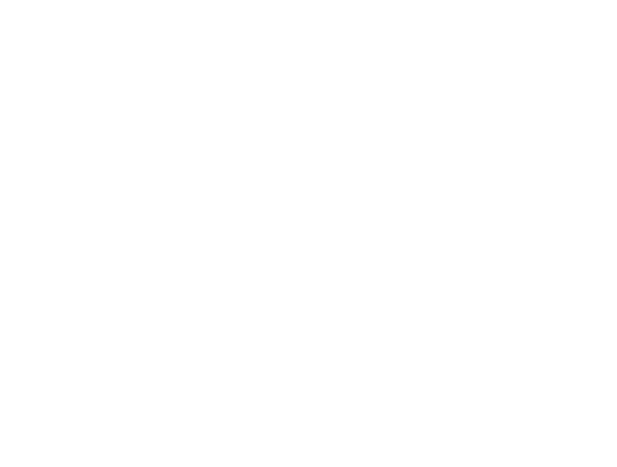 EPI Logo