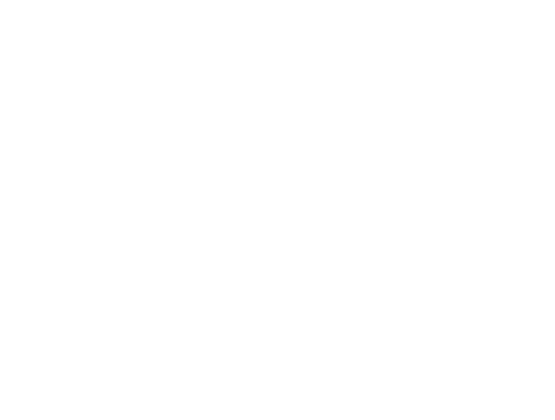 Furious Logo
