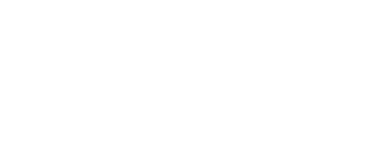 Furious Logo