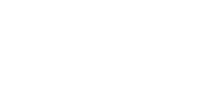 Vyve Broadband Logo